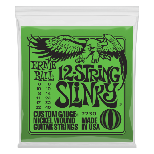 ERNIE BALL P02230